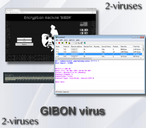 GIBON Virus